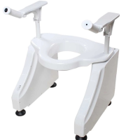 Dignity Lifts thumbnail Toilet lift thumbnail